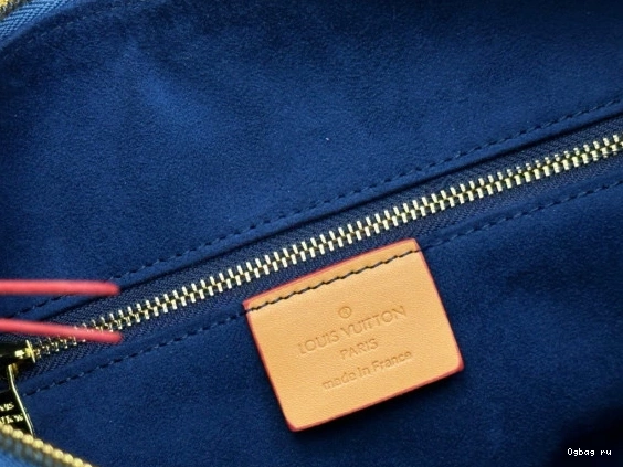 LOUIS VUITTON HOBO LOOP 0729